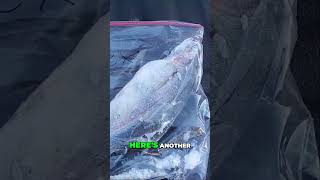 Alexs Epic Fishing Day  Biggest Fish Win Trophy [upl. by Ynohta]