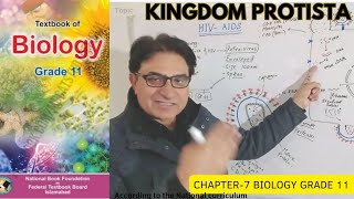 Kingdom Protista  Protozoa Algae amp Slime Molds  Biology  Grade 11 Urdu Hindi English  Federal [upl. by Ama650]