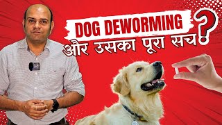 Dog Deworming और उसका पूरा सच❓ StepByStep Detail By Baadal Bhandaari [upl. by Tasia]