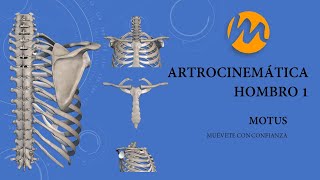 Artrocinemática Hombro 1 Esternoclavicular  Acromioclavicular [upl. by Cailly]