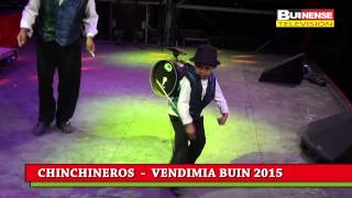 CHINCHINEROS EN VENDIMIA BUIN 2014 [upl. by Juetta]