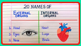 External and internal body Parts nameexternal and internal organs of human body10 external organs [upl. by Itsrejk550]