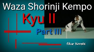 Shorinji Kempo Waza Technique  Kyu II Part 34 [upl. by Issej17]