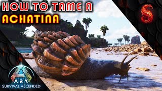 ARK SURVIVAL ASCENDED HOW TO TAME A ACHATINA [upl. by Afatsom]