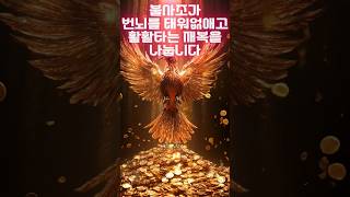 불사조가 재물운을 가져다줍니다 Phoenix 凤凰 不死鳥 Phượng hoàng นกฟีนิกซ์ Garuda Феникс Fénix បក្សីភ្លើង फ़ीनिक्स पक्षी [upl. by Corny340]