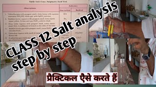 Class 12 Salt analysis  Class 12 qualitative analysis Class 12 practical [upl. by Nehcterg]