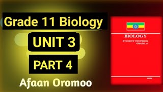 GRADE 11 BIOLOGY UNIT 3 PART 4  Afaan Oromoo [upl. by Edie727]