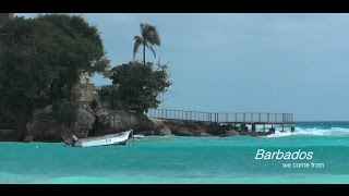 Beaches of Barbados [upl. by Xena]