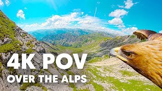 Breathtaking Eagle POV Flying Over The Alps in 4K [upl. by Sybil]