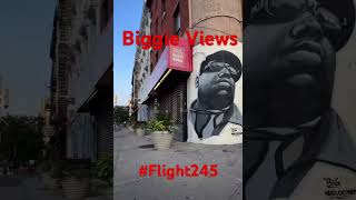 Views of Biggie smalls block and where he’s from bkny [upl. by Junieta]