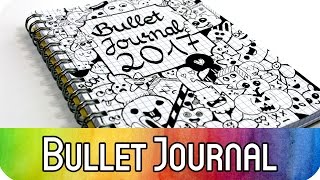 Bullet Journal für Anfänger Einführung amp Setup 2017  inkl Dekorationsideen für den Planner [upl. by Atalanti788]