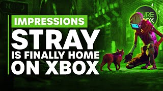 Stray is Finally Home on Xbox  Hands On [upl. by Kenay]