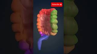 Cancer de Colon Sintomas cancer cancerdecolon salud [upl. by Ferree]