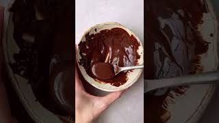 High Protein Chocolate Peanut Butter Yogurt Cup [upl. by Casabonne937]