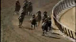 Victory Gallop  1998 Belmont Stakes [upl. by Delores42]