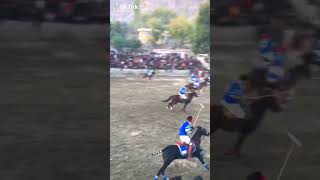 Polo 🥀❤ viralvideo polo game [upl. by Hollah880]