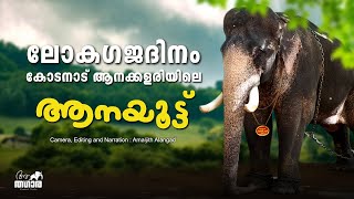 Peelandi  Kodanadu Elephant Camp Gajadhinam Celebration  Aanatthaara Episodes  Kerala Elephants [upl. by Longwood]