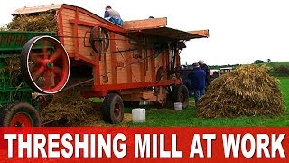 Threshing the Harvest 1960s Style in Ireland using Vintage Fordson Major Tractors [upl. by Jowett]