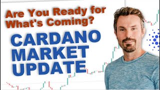 Comprehensive Cardano Update on CNTs Market Shifts amp New Promising Projects [upl. by Ellohcin104]