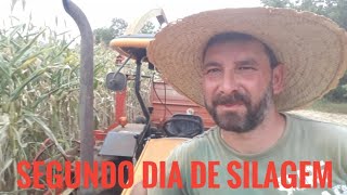 Valtra A650 na ensiladeira Nogueira [upl. by Yarled]