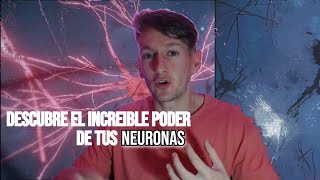 ¿Qué son las NEURONAS y Cual es su FUNCION Tipos de SINAPSIS 🧠 [upl. by Narol669]