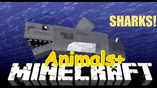 Minecraft Mods  Animals Mod Showcase  SHARKS WHALES AND MANY MORE MORE MOBS [upl. by Nitsej689]