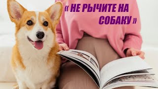 Часть 2 КПрайор quotНе рычите на собакуquot аудиокнига о дрессировке людей животных и самого себя [upl. by Alohcin6]