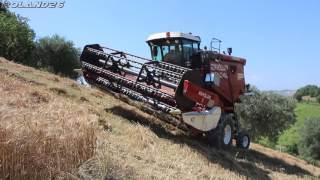 New Holland 3550 Al Harvest Season 2016 [upl. by Ahtaela]