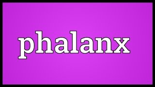 Phalanx Meaning [upl. by Ahmed]