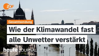 heute journal vom 20092024 Klimawandel BrandenburgWahl Luftschlägen Israels gegen die Hisbollah [upl. by Tnaryb243]