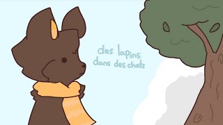 des lapins dans des chats [upl. by Radbourne]