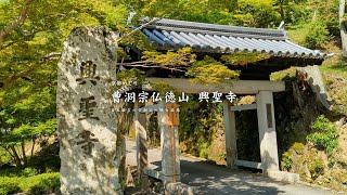 曹洞宗仏徳山 興聖寺【京都めぐり／HironTV】 [upl. by Petracca]