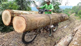 Riding Cheapest Log Transport Bikes of Indonesia [upl. by Eckart344]