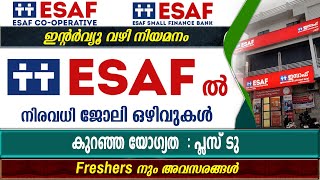 ESAF Bank ലും വിവിധ സ്വകാര്യ സ്ഥാപനങ്ങളിലും നിരവധി ജോലി ഒഴിവുകൾESAF Recruitment Esaf Cooperative [upl. by Eey26]