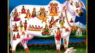 KAMDHENU COW MANTRA FOR FULL FILL DESIRES amp PLEASURE  गाय माता मन्त्र [upl. by Erine]