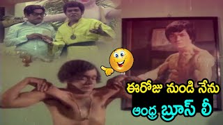 ఈరోజు నుండి నేను ఆంధ్ర బ్రూస్ లీ  Raja Babu And Allu Ramalingaiah Ultimate Comedy Scenes  TC [upl. by Aciretal]