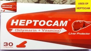 HEPTOCAM SilymarinVitaminCap For  Liver TonicFatty Liver Chronic Hepatitis amp Cirrhosis Liver [upl. by Wilkins332]