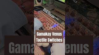 Gamakay Venus Tactile Switches mechanicalkeyboard typingasmr keyboardswitches typing keyboard [upl. by Einor]