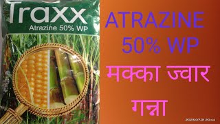 गन्ना मक्का की खरपटवार नियंत्रण। makka ganna । traxx herbicide। ATRAZINE 50wp। kisan agriculture [upl. by Doykos384]