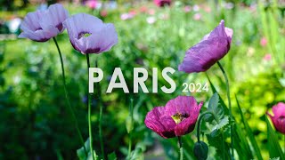 Paris  2024 Part 4 [upl. by Anerac801]