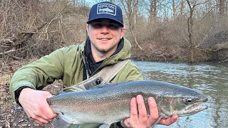 Steelhead fishing Lake Erie Tribs Erie PA Steelhead Alley Big brown landed [upl. by Lamrouex]