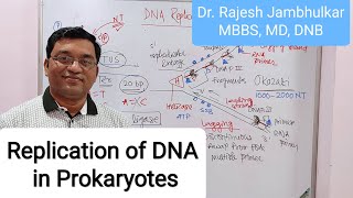 1 Replication of DNA in Prokaryotes New [upl. by Farhsa]