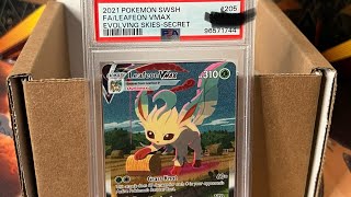 I Graded A Pokemon Card With PSA For The First Time Is It Worth It [upl. by Asseralc]