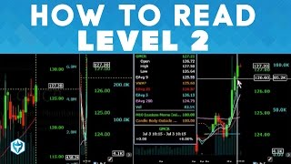 How to use Level 2 and Time amp Sales as a Momentum Day Trader [upl. by Karla]