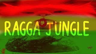 Ragga Jungle  Vocal Dub Mix Winter Mix By Simonyàn 343 [upl. by Prudhoe]