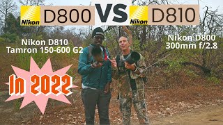 Nikon D810 vs D800 in 2022 Both still AMAZING PRO LEVEL DSLR Cameras [upl. by Nylareg]