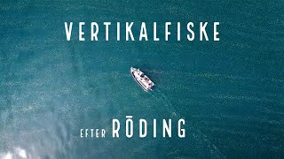 Vi provar på det tidiga rödingfisket  Vertikalfiske på Vättern [upl. by Ihtraa]