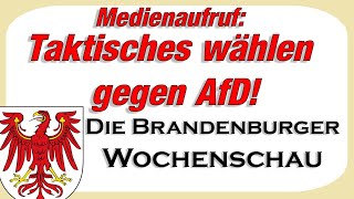 Medienaufruf Taktisch gegen AfD wählen Die Brandenburger Wochenschau Landtagswahl [upl. by Kablesh]