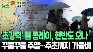 뉴스쏙 태풍 콩레이 북상 중…주 후반쯤 대만 해상 접근｜동해안·남부 가을비…일부 강풍 전망  연합뉴스TV YonhapnewsTV [upl. by Petr]