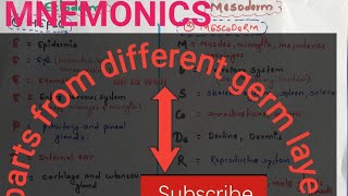 mnemonic 2  organs derived from different germ layer [upl. by Brabazon]